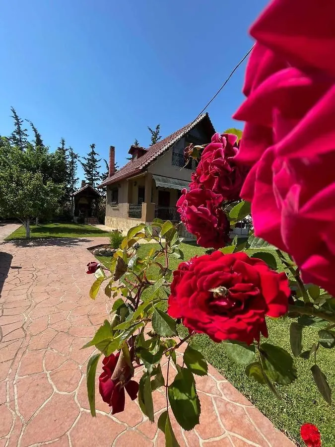 Villa Katerina Nea Kallikrateia